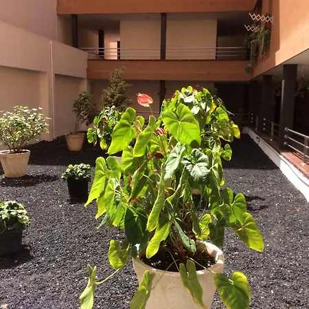 Apartment Martianez *